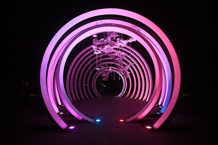 圓環(huán)時光門   定制